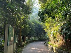 -东莞市大岭山森林公园