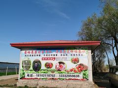 -西青郊野公园
