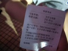 -星城之眼摩天轮