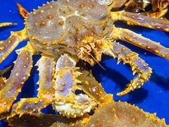 -三亚火车头万人海鲜广场