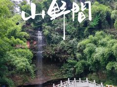 -沐川竹海旅游景区