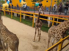 -西霞口神雕山野生动物世界