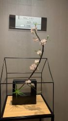 -爱陪伴尊享月子中心(国际店)