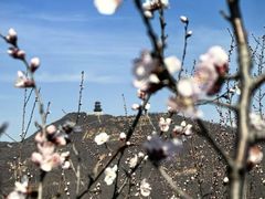 -妙峰山风景名胜区