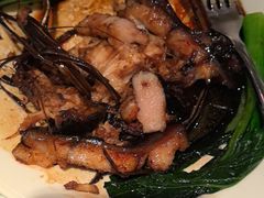 -桂满陇·锦绣江南(益田广场店)