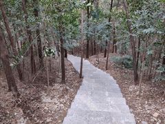 -云龙山