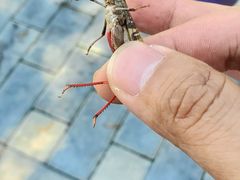 -瀛海足球主题公园