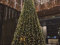 -丽思卡尔顿·炙焰·铁板烧餐厅