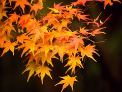 -共青国家森林公园-售票处