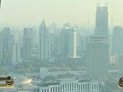 -上海新世界丽笙大酒店旋景餐厅(人民广场店)