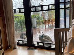 -阳朔悦榕庄·明月西餐厅&清风吧