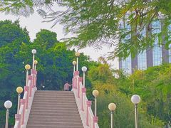 -金砂公园