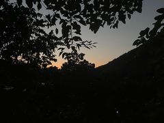 -天门沟九州驿站树上汤泉