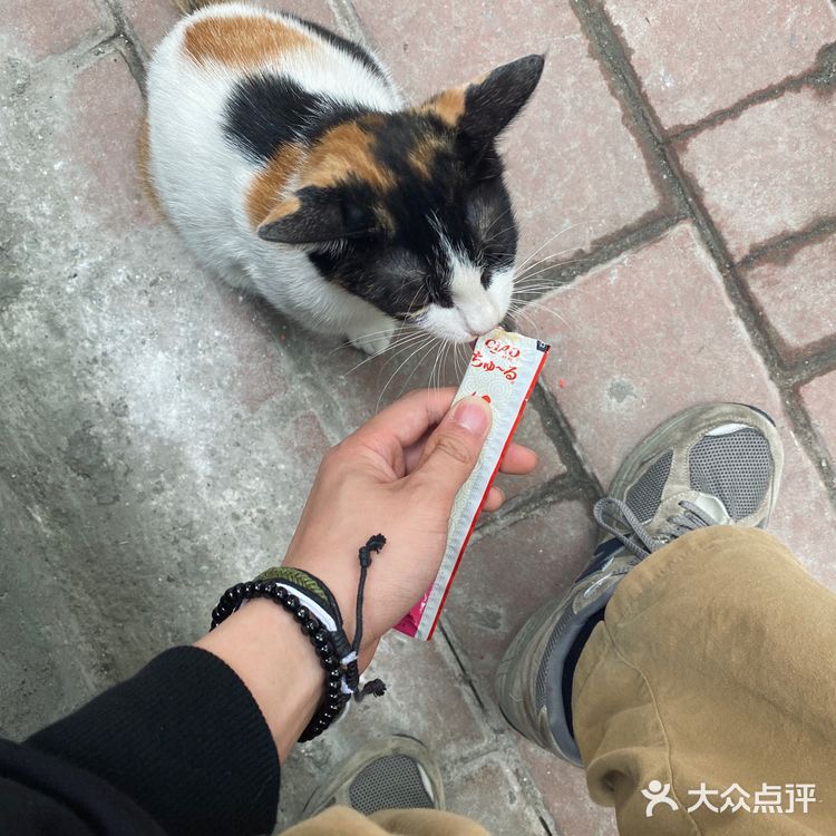 广州新店 | 老城区有生活气息的咖啡店