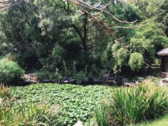 -上海共青森林公园