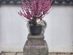-无锡梅园公园