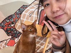 -Let's go狗咖·猫咖·奶狗·桌游(春熙路IFS店)