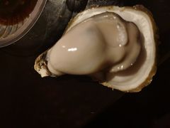 -土蚝·高压锅生蚝(百姓美食街店)
