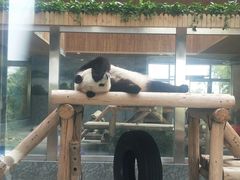 -西安秦岭野生动物园