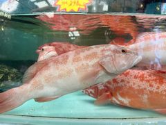 -万龙洲海鲜·粤菜(亚运村店)