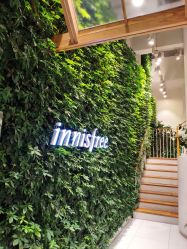 -悦诗风吟innisfree