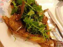 -凤城酒家(渣华道)