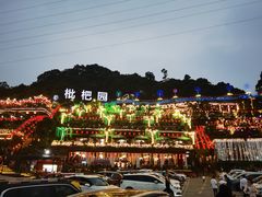 -枇杷园食为鲜火锅(南山店)