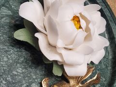 -诺莱仕游艇会