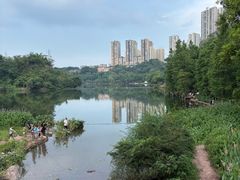 -重庆彩云湖湿地公园