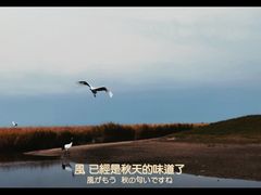 -黑龙江扎龙生态旅游区