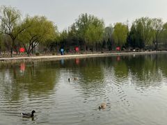 -太阳宫公园