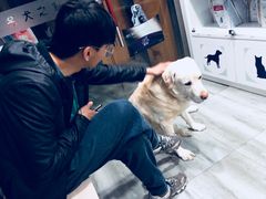 -爱侣宠医·鹦鹉专科·小型哺乳类·异宠专科(灵石路店)