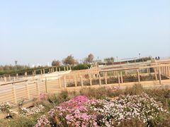 -东疆建设开发纪念公园