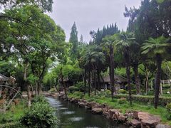 -朱家角课植园