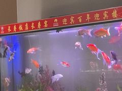 -欣旺·迎宾楼·百年无锡菜