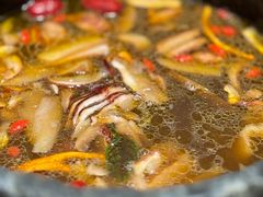 -蘑界·野生菌火锅(深业上城店)