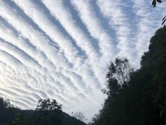 -秦岭天竺山景区