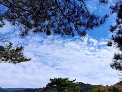 -庐山风景区花径公园