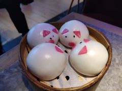 -老板恋上鱼(恒隆广场店)