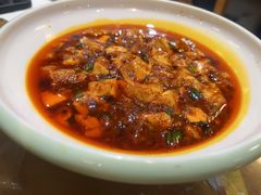 -易老妈蹄花.特色川菜(人民公园总店)