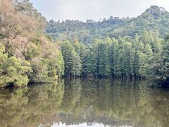 -滴水岩森林公园