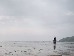 -仙人岛