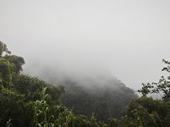 -鼎湖山风景区
