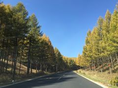 -塞罕坝国家级自然保护区