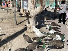 -水上乐园·欢乐世界