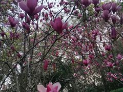 -乌山风景区