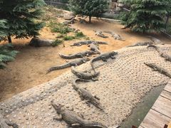 -石家庄市动物园