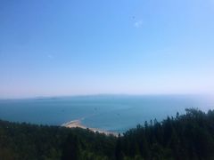 -长岛万鸟岛