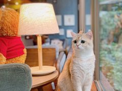 -咖法森林·咖啡  酒吧(天河店)