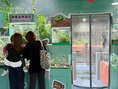 -上海大自然野生昆虫馆(东方明珠·爬宠昆虫探索中心)